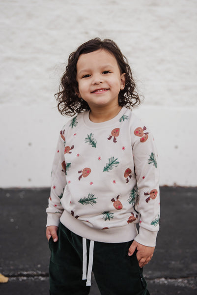 REINDEER HOLIDAY PULLOVER