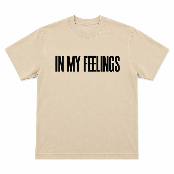 IN MY FEELINGS